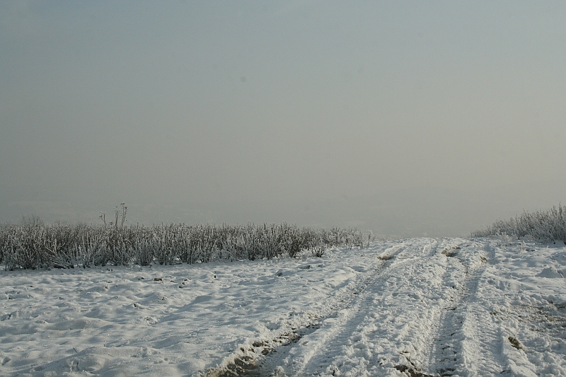 Przedwigilijny offroad 2007 005
